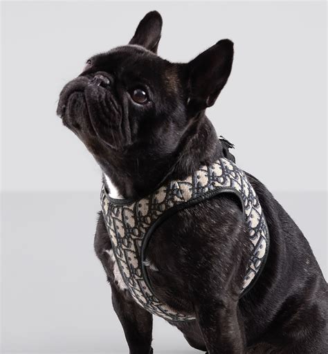 harnais chien dior|Pet Harness Beige and Black Dior Oblique Jacquard.